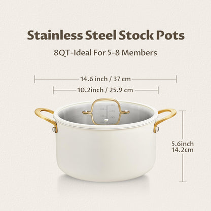 BEZIA 12 Quart Full Clad Try-Ply Stainless Steel Stock Pot, Induction Ready